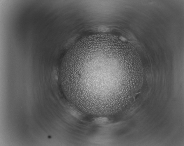 X0000072510374200607211403