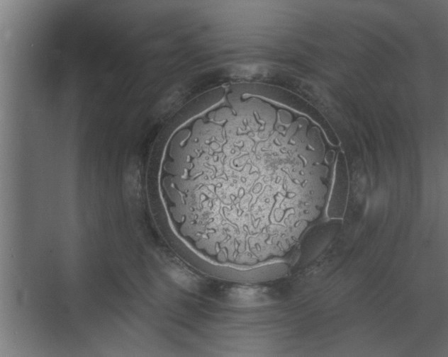 X0000072510375200607211403