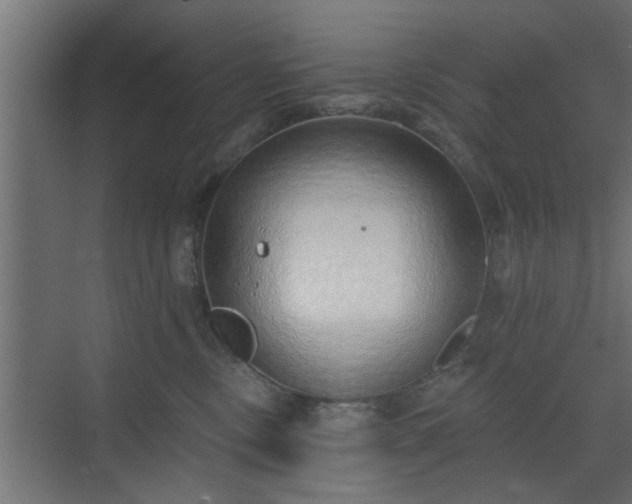 X0000072510378200607211404