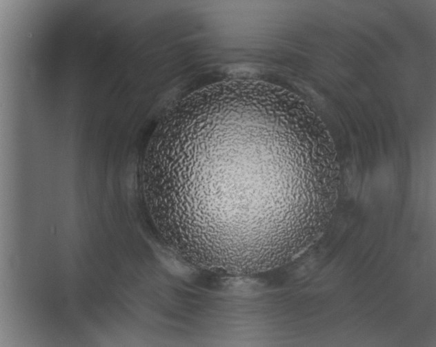 X0000072510379200607211404