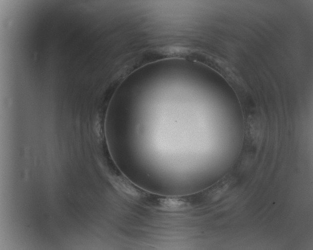 X0000072510380200607211404