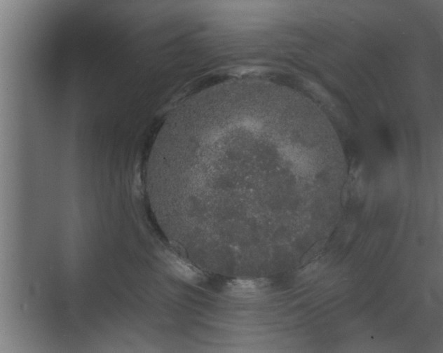 X0000072510381200607211404