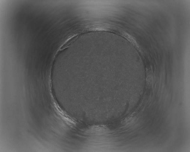 X0000072510386200607211403