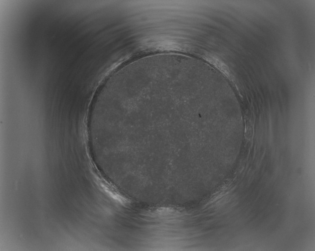 X0000072510390200607211403