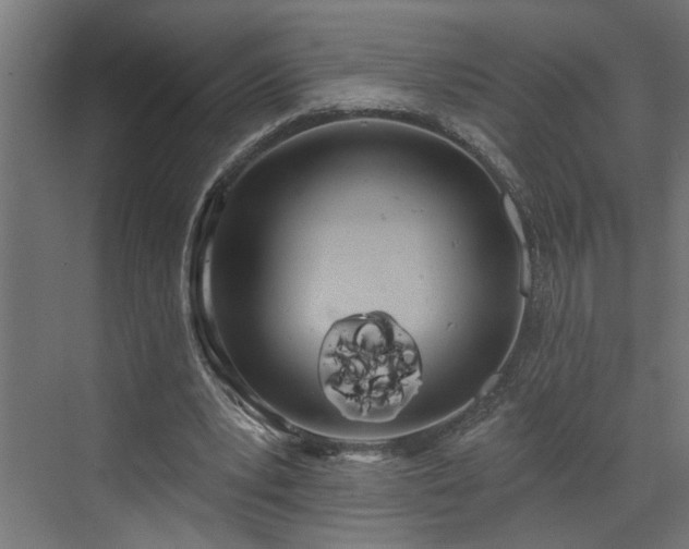 X0000072510391200607211403