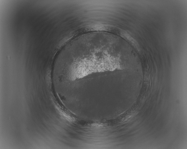 X0000072510394200607211403