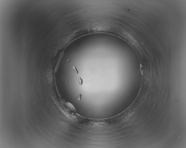 X0000072510401200607211403