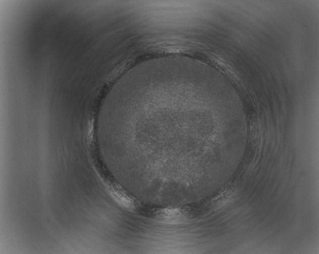 X0000072510406200607211402