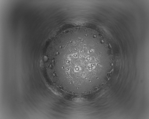 X0000072510408200607211402