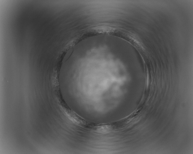 X0000072510411200607211402