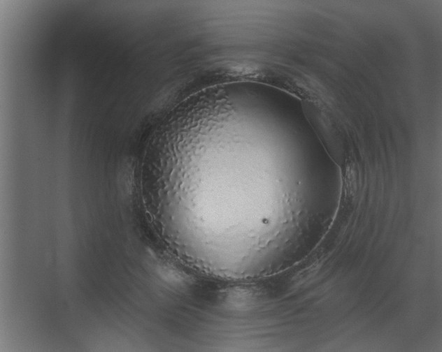 X0000072510412200607211402