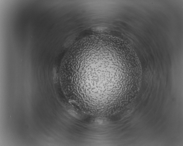 X0000072510420200607211402