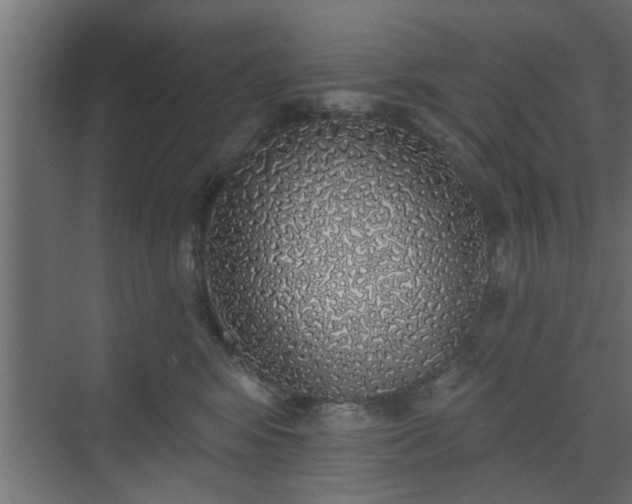 X0000072510424200607211402