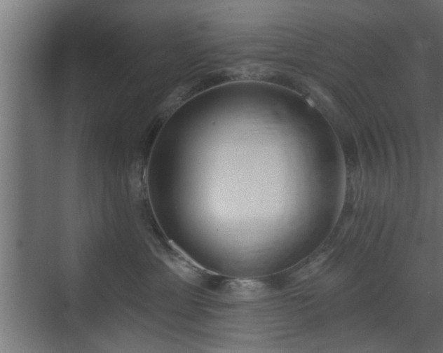 X0000072510429200607211402