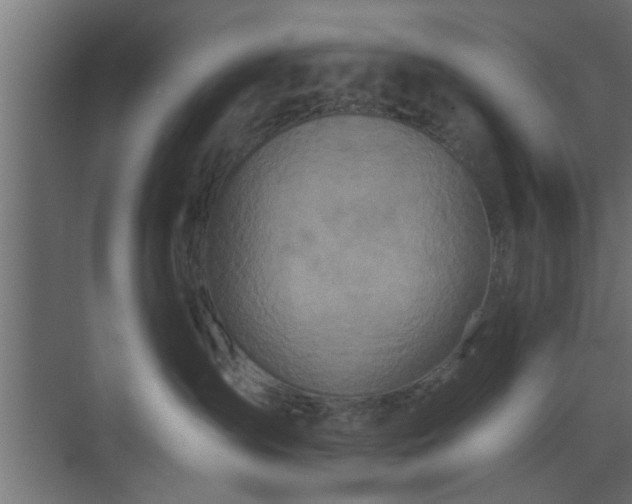 X0000072510431200607211402