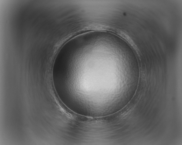 X0000072510433200607211401