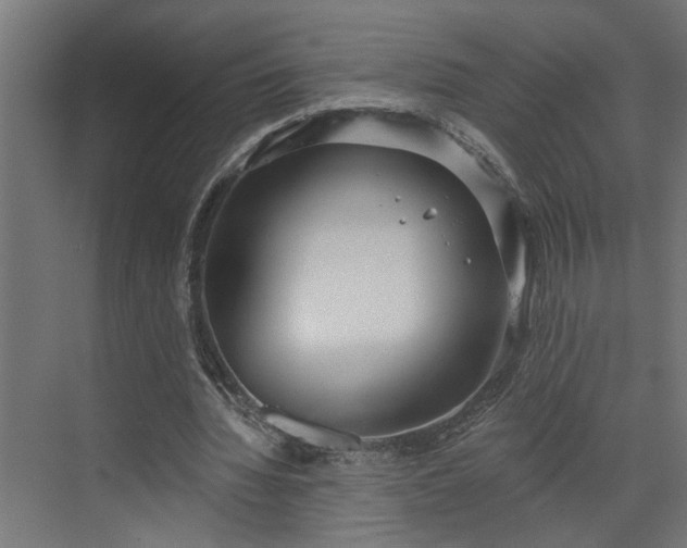 X0000072510436200607211401