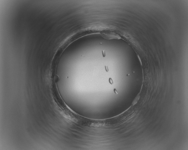 X0000072510440200607211401