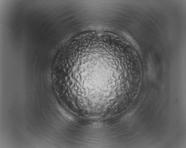 X0000072510441200607211401