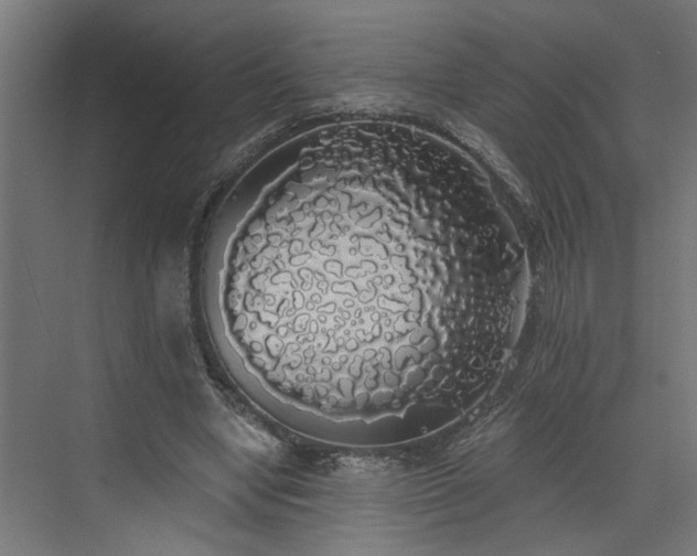 X0000072510442200607211401