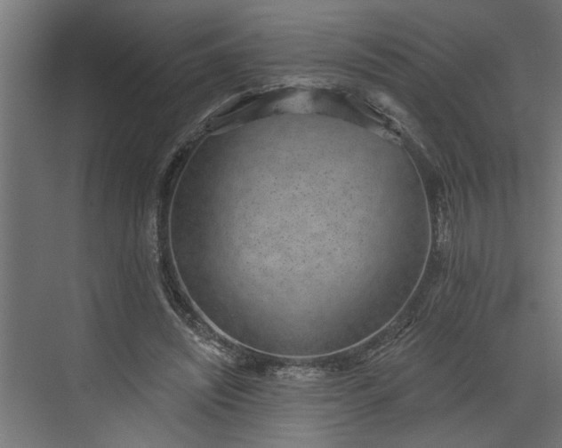 X0000072510444200607211401