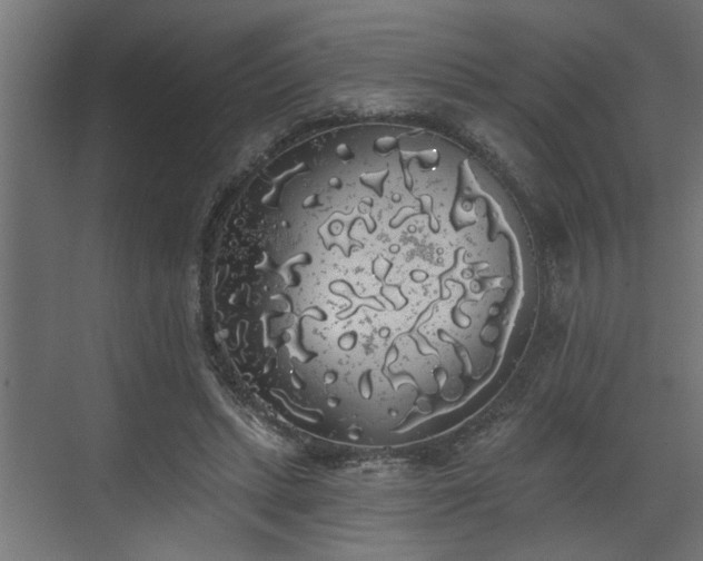 X0000072510447200607211401