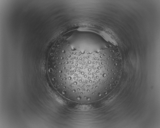 X0000072510449200607211402