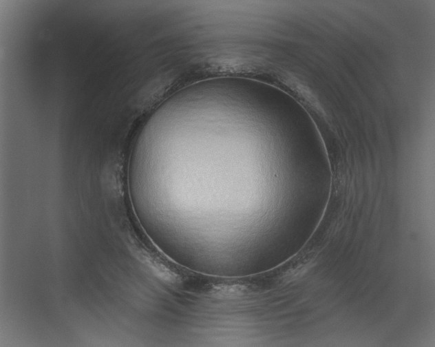 X0000072510450200607211402