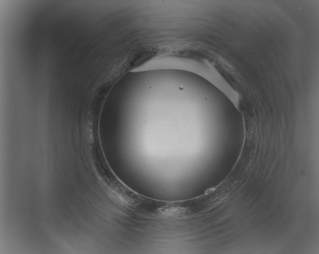 X0000072510452200607211402