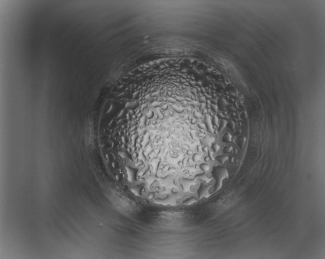 X0000072510457200607211402