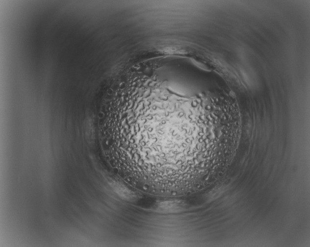 X0000072510461200607211402