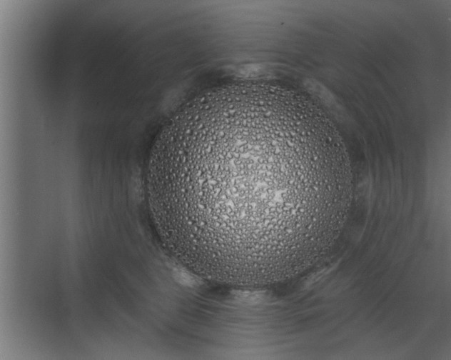 X0000072510469200607211402