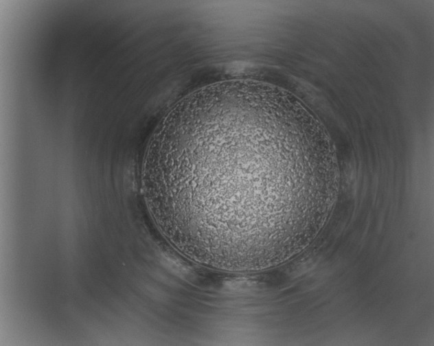 X0000072510470200607211402