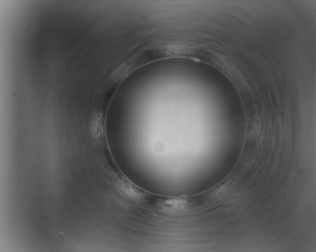 X0000072510478200607211402