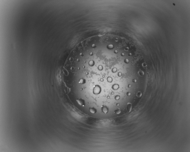 X0000072510479200607211402