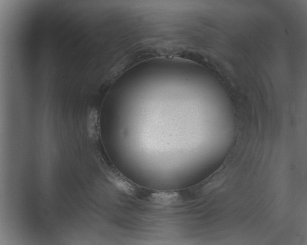 X0000072510480200607211402