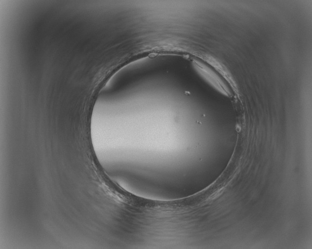 X0000072510481200607211401