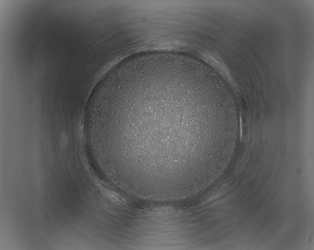 X0000072510483200607211401