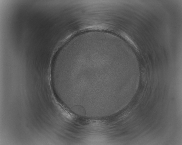 X0000072510486200607211401