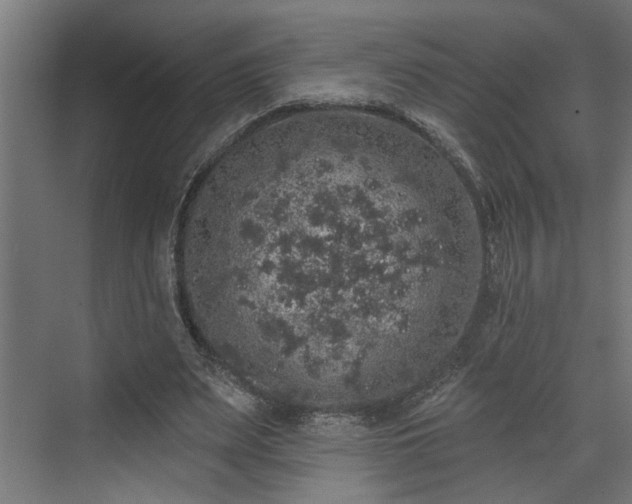 X0000072510487200607211401