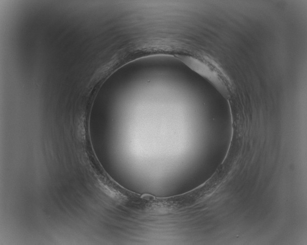 X0000072510489200607211401