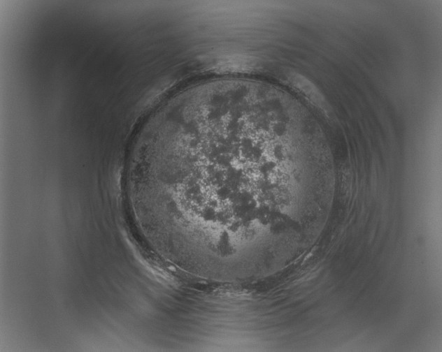 X0000072510491200607211401