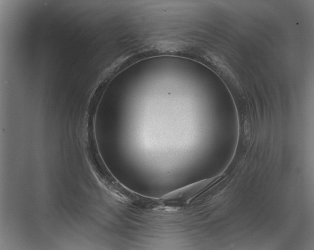 X0000072510492200607211401