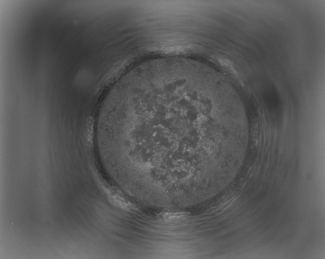 X0000072510495200607211401