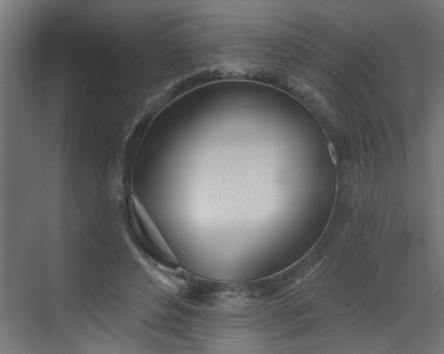 X0000072510496200607211401