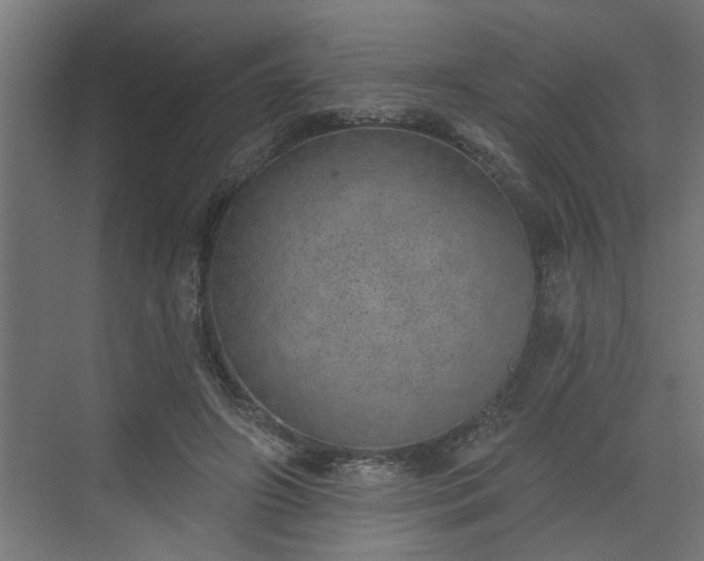 X0000072510498200607211401