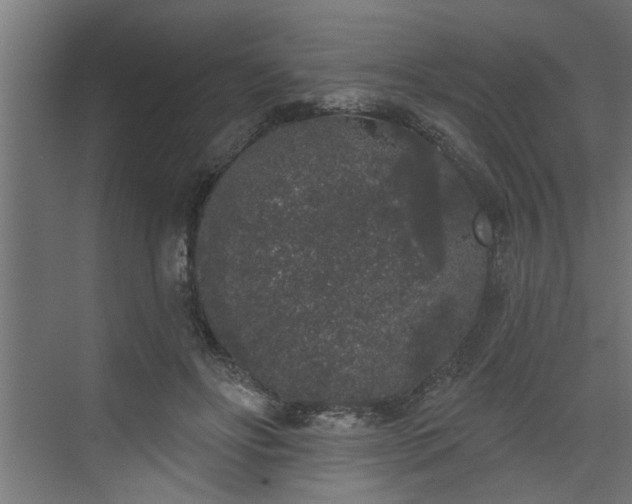 X0000072510502200607211401