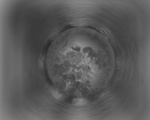 X0000072510503200607211401