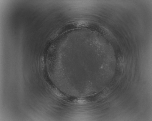 X0000072510506200607211401