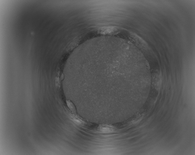 X0000072510510200607211401